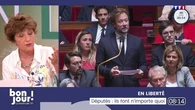 En liberté : Députés, ils font n’importe quoi