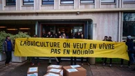 Pesticides, cantine, revenus agricoles… ces trois mesures votées à l’Assemblée qui risquent de se heurter au droit européen