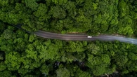 "Dix fois plus résistant que l'acier" : et si vous rouliez dans une voiture… en bois ?