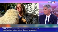 Corse : elle dirige une maison de retraite pour 700 animaux