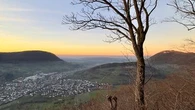 Dérèglement climatique : "D'ici 2100, Lille devrait avoir le climat de Bilbao"