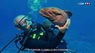 Il murmure à l'oreille des poissons