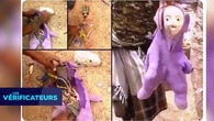 VÉRIF' - Non, des peluches remplies d'explosifs n'ont pas été laissées à Gaza pour piéger la population ?