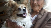 Seniors : ces races de chiens à adopter pour se maintenir en forme et se sentir moins seul