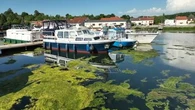 "Ce n'est pas aujourd'hui qu'on va pouvoir naviguer" : avec la chaleur, les algues vertes ont envahi ce canal de Haute-Saône