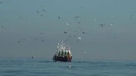 Aires marines protégées : la France préserve-t-elle vraiment ses fonds marins ?