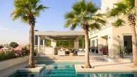 Vous avez une piscine ? Voici la liste des arbres à éviter absolument dans votre jardin