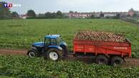 Pesticides : le gouvernement peut-il mettre 