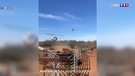 Australie : les cow-boys volants