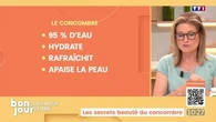 Ça ira mieux demain : Les secrets beauté du concombre