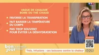 Ça ira mieux demain : Thés, infusions, ces boissons contre la chaleur