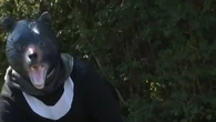Attaques d'ours au Japon : la police organise un exercice insolite montrant comment faire fuir l'animal