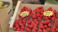 "120 euros la barquette de fraises !" : la campagne choc qui alerte sur la disparition des abeilles