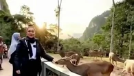 Des vacances gâchées par... l'IA : la mauvaise surprise d'un couple après un voyage de 300 km