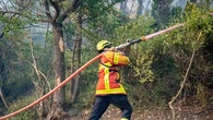 Incendies de l'Aude : le fonds d'urgence pour les agriculteurs sinistrés revu à la baisse, le guichet ouvre ce lundi