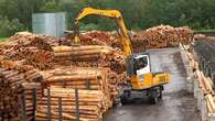 Méga-usine de granulés : le boom des pellets menace-t-il les ressources forestières ?