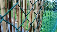 Face aux nuisances de certains animaux de compagnie, la guerre des voisins est déclarée dans plusieurs villes du Nord
