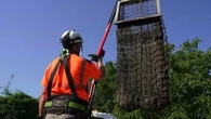 "Tout ce qui part dans la rivière va dans l'océan" : ils se mobilisent pour lutter contre les déchets plastiques