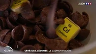 Céréales, légumes : le cadmium inquiète