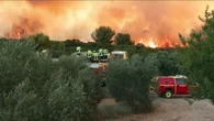 "Une lutte de chaque instant" : les images du combat des pompiers et des habitants évacués face aux incendies dans le sud de la France