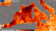 Canicule marine : le record de température journalière battu en Méditerranée avec plus de 28 degrés lundi