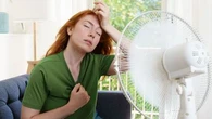 Quatre astuces écologiques pour rafraîchir son logement sans climatiseur