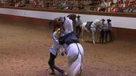 VIDÉO - Voyage en Andalousie : découvrez les trésors de Jerez de la Frontera