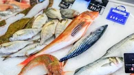 Le poisson plébiscité... mais trop cher : quelles espèces choisir pour faire des économies ?