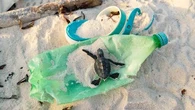 "Des milliers de tongs au milieu des tortues" : aux Seychelles, Simon Bernard a découvert un paysage apocalyptique