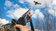 VIDÉO - Des chasseurs français font-ils du "ball-trap" sur les canards d'une zone protégée belge ?