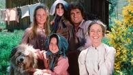 "La Petite Maison dans la prairie" : Netflix n'est pas allé chercher bien loin son nouveau Charles Ingalls
