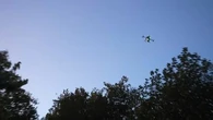 "On n'en peut plus" : dans l'Hérault, des drones pour chasser les étourneaux