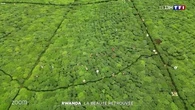 Zoom : Rwanda, la beauté retrouvée
