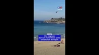 Sydney : une nageuse dans un état critique après une attaque de requin