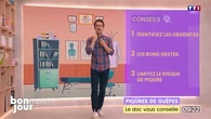 Piqûres de guêpes : le doc vous conseille