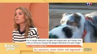 Le débat : Au secours, mon chien est agressif !