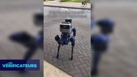 VÉRIF' - Des chiens-robot à reconnaissance faciale sont-ils déployés lors de la Coupe du Monde ?