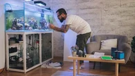 Éteindre l'éclairage, installer un ventilateur d'eau, ouvrir le couvercle… Les astuces pour refroidir un aquarium face aux fortes chaleurs