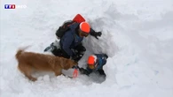 VIDÉO - Montagne : nous avons suivi un entrainement des chiens d'avalanche
