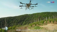 Drone : le nouvel ami des vignerons