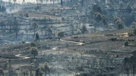 "Dans une dizaine d'années, nous aurons à nouveau des arbres dans l'Aude": après un incendie, comment reconstruire une forêt ?