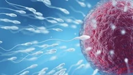 Don de gamètes : pourquoi il est important de faire un don de spermatozoïdes ou d'ovocytes