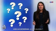 Aides aux entreprises : un coût colossal ?