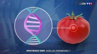 Nouveaux OGM : quelles promesses ?