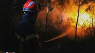 VIDÉO - Incendies à répétition en Dordogne : "Le début d'une saison certainement précoce"