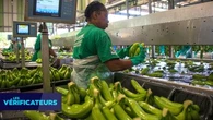 VÉRIF' - La Guadeloupe importe-t-elle 70% de sa nourriture alors qu'elle exporte 80% de sa production ?