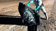 La provenance du mystérieux objet tombé du ciel en Australie identifiée ?