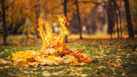 Mon voisin a-t-il le droit de brûler des feuilles mortes dans son jardin ? Le 13H à vos côtés