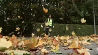 Feuilles mortes : ça coûte cher à ramasser