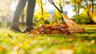 Cartons, sacs en papier, meubles... les feuilles mortes, une matière première tombée du ciel